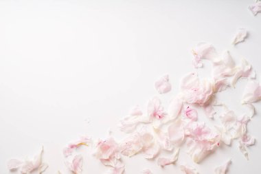 çok güzel pembe ve beyaz şakayık yaprağı beyaz arka plan üzerinde romantik kavramı izole kazık 