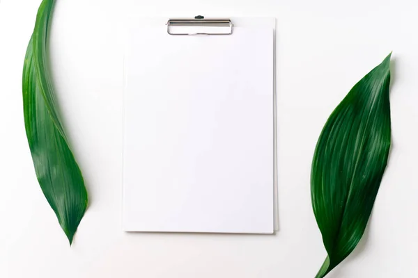 棕榈叶和剪贴板与纸卡隔离在白色背景 顶部视图 — 图库照片