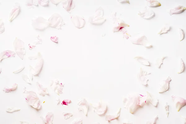 Witte Pioen Bloemblaadjes Ingelijst Bij Circle Gerangschikt Witte Achtergrond Romantische — Stockfoto
