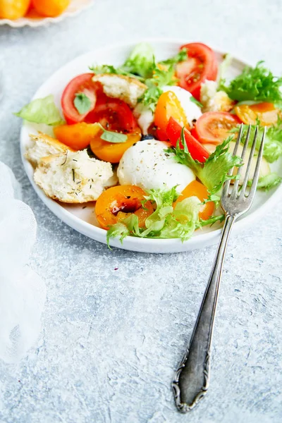 Weergave Van Panzanella Salade Met Mozzarella Geroosterd Stokbrood Tomaten Pruimen — Stockfoto