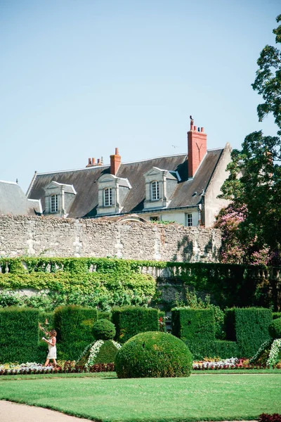 Edificio Tradizionale Francese Con Giardino Classico Forme Geometriche Concetto Architettura — Foto Stock