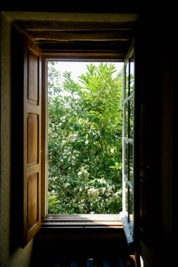 Yeşil park manzaralı chateau adlı Fransız vintage pencere açtı 