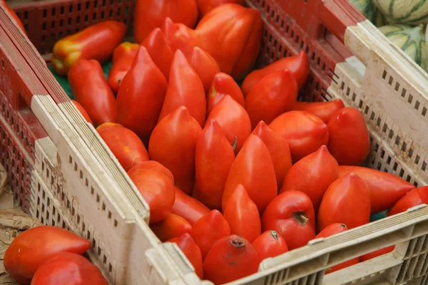 Tomatoes in boxes on sale at the french city market