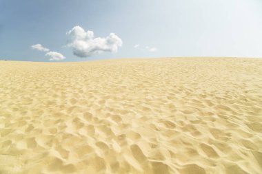 Kum çöl Dune du Pilat, Fransa