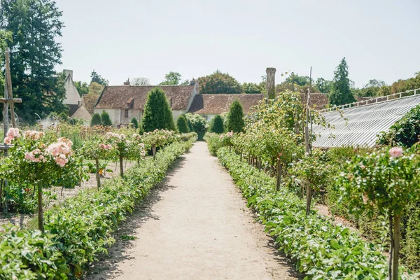 Granja Rural Vintage Chateau Chenonceau Castillo Chenonceau Zona Del Valle — Foto de Stock