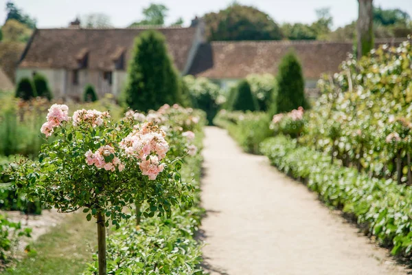 Granja Rural Vintage Chateau Chenonceau Castillo Chenonceau Zona Del Valle — Foto de Stock