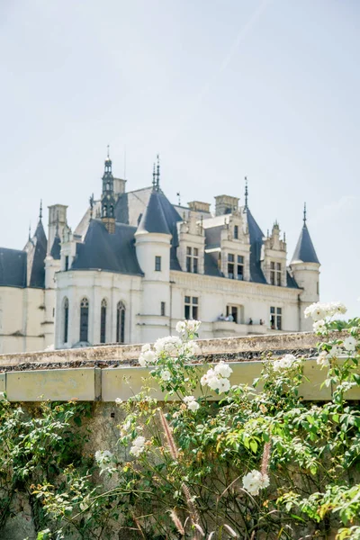 Außenansicht Des Französischen Chateau Chenonceau Loire Tal Bei Sonnigem Tag — Stockfoto