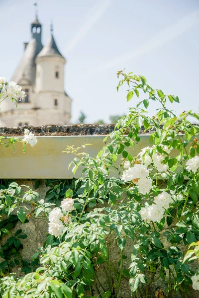 Vnější Pohled Francouzského Zámku Chenonceau Údolí Loiry Slunečný Den — Stock fotografie