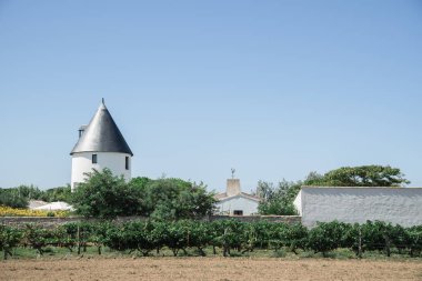Şehir peyzaj Fransız turistik spot Ars-tr-Re 