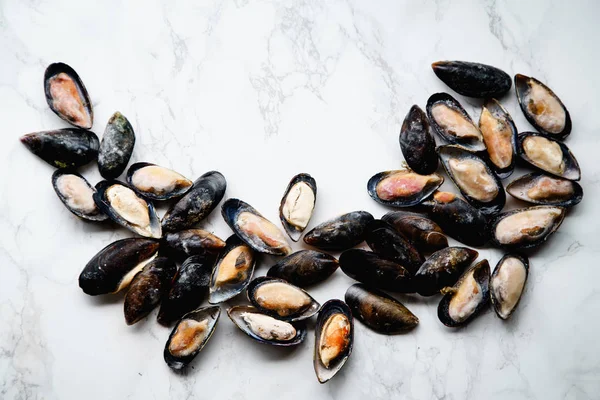 Gefrorene Muscheln Auf Weißem Marmorhintergrund Draufsicht — Stockfoto