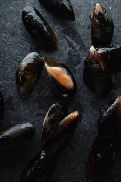 Fresh Mussels Dark Concrete Background — Stock Photo, Image