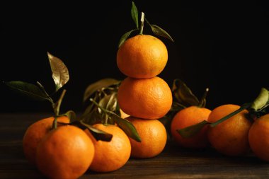 Koyu arka plan üzerinde yeşil yaprakları ile mandalina piramit