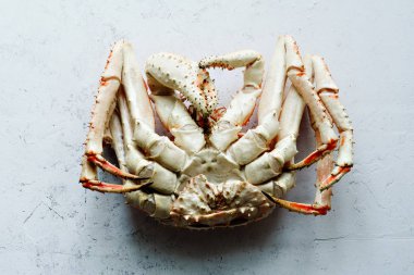 Büyük tüm Alaska yengeç beton zemin üzerine