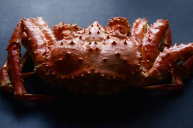 Büyük tüm Alaska yengeç beton zemin üzerine