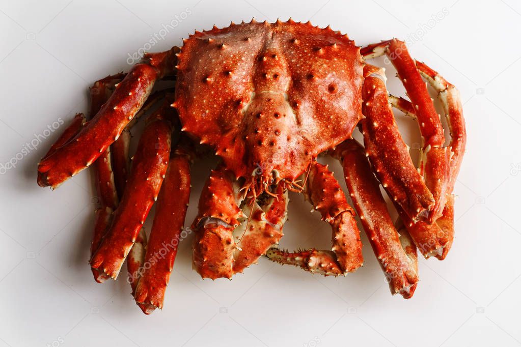 Big whole alaskan crab isolated on white background