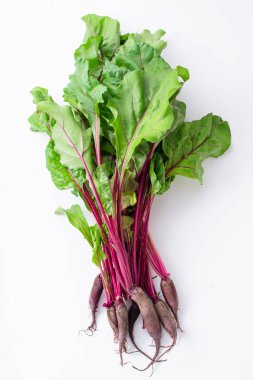 Genç pancar yeşil üstleri beyaz arka plan üzerinde izole