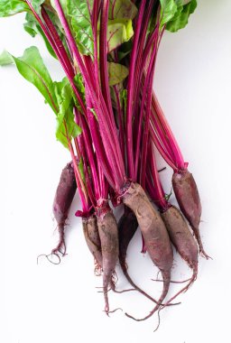 Genç pancar yeşil üstleri beyaz arka plan üzerinde izole