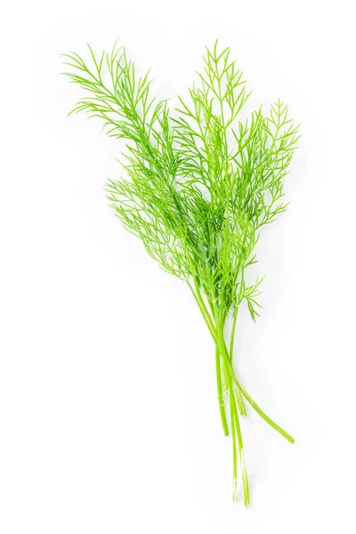 Bunch Fresh Dill Isolated White Background Copy Space — Stock Photo, Image