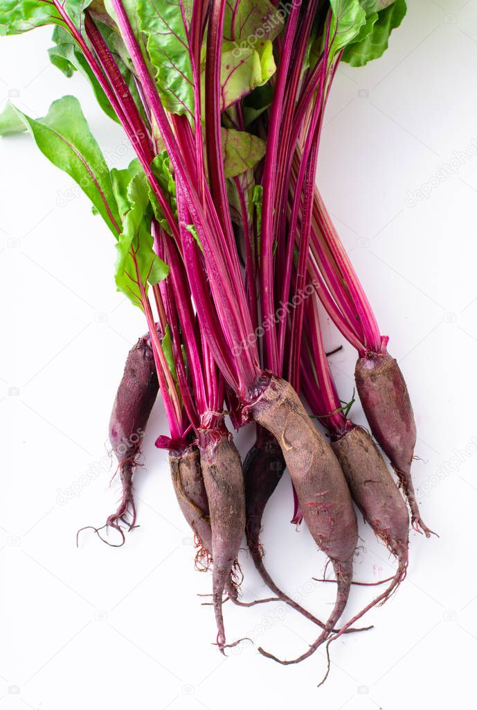 Young beetroot green tops isolated on white background