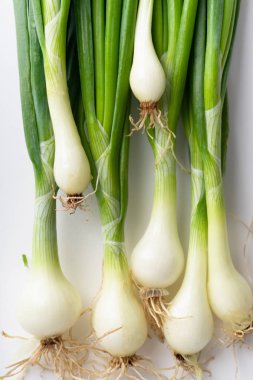Beyaz arka plan üzerinde izole taze yeşil frenk soğanı ile Yaratıcı düzen
