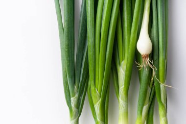 Beyaz arka plan üzerinde izole taze yeşil frenk soğanı ile Yaratıcı düzen