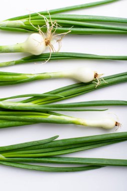 Beyaz arka plan üzerinde izole taze yeşil frenk soğanı ile Yaratıcı düzen