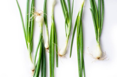 Beyaz arka plan üzerinde izole taze yeşil frenk soğanı ile Yaratıcı düzen