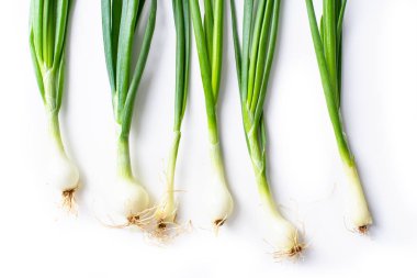 Beyaz arka plan üzerinde izole taze yeşil frenk soğanı ile Yaratıcı düzen