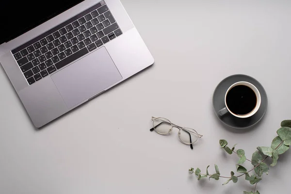 Szary Laptop Czarną Kawą Filiżance Okulary Liści Eukaliptusa Jasnym Tle — Zdjęcie stockowe