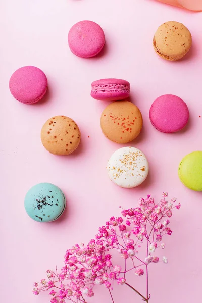 sweet colorful macaroons on pink background. Top view