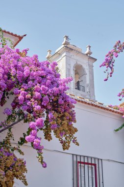 Güneşli bir günde kilisenin yanında mor çiçekli çiçek açan ağaç.