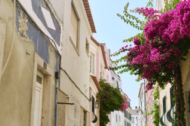 Cascais, Portekiz - 31 Ağustos 2019: Güneşli bir günde eski bir kasabada sokak 