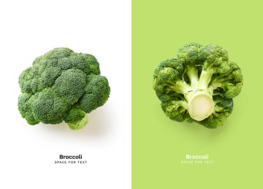 Beyaz ve yeşil arka planda taze brokolisi olan yaratıcı düzen, Top view. Sağlıklı besinler.