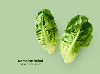 Yeşil arka planda taze romaine salata başlıkları ile yaratıcı düzen 