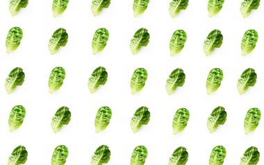 Beyaz arka planda izole edilmiş taze romaine salata kafaları ile yaratıcı kusursuz desen.