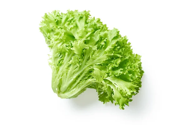 Fresh Lettuce Isolated White Background Close View — Stock Photo, Image