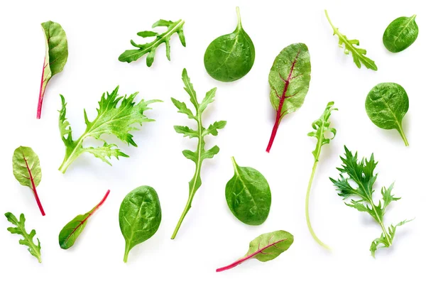 Beyaz arka planda izole edilmiş taze salata yaprakları karışımı, vejetaryen yemeği için gerekli malzemeler.