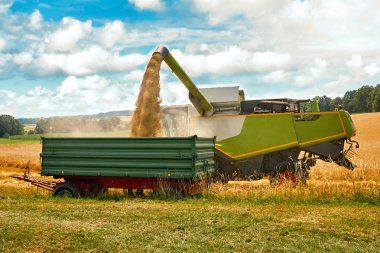 Çalışma alanını buğday hasat birleştirmek
