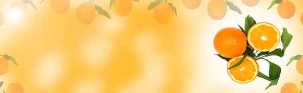 Frische Zitrusfrüchte Orange Background Long Web Format Für Banner — Stockfoto