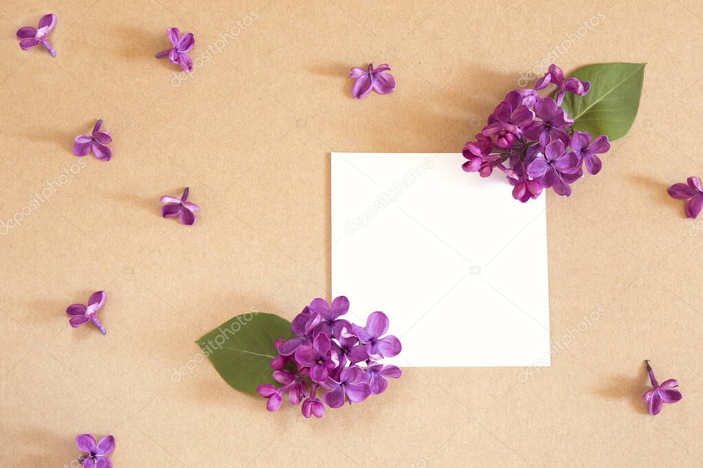 blossom Syringa vulgaris in Lilac  flower and blank paper card for text message.Top view.
