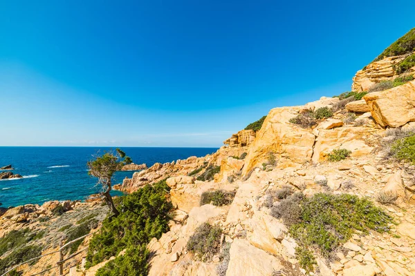 Felsigen Küste Costa Paradiso Sardinien Italien — Stockfoto