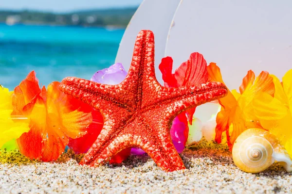 Röd Sjöstjärna Och Shell Vid Havet Sommaren — Stockfoto