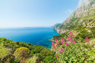 Çiçekler dünya ünlü Amalfi coast deniz. Campania, İtalya
