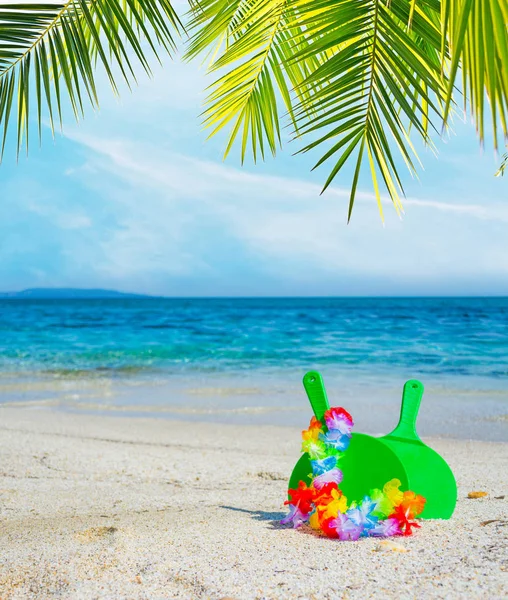 Beach Rackets Sand Palm Tree Summertime — Stock Photo, Image