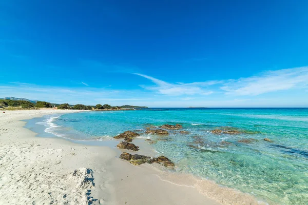 Acqua Turchese Sulla Riva Rena Bianca Sardegna Italia — Foto Stock