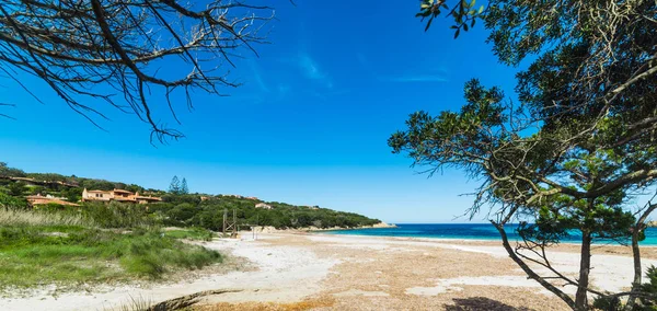 Cala Granu Plajı Sardunya Talya — Stok fotoğraf