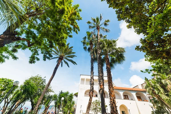 Stromy Zahradě Villa Comunale Sorrento Kampánie Itálie — Stock fotografie