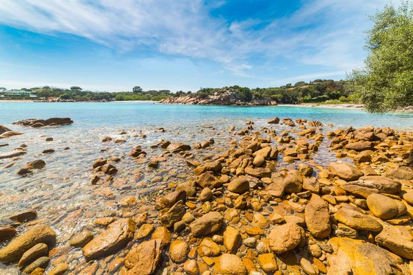 Costa Smeralda Küçük Bir Koyda Kayalarda Sardunya Talya — Stok fotoğraf