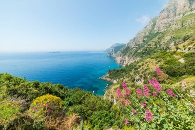 Çiçek ve bitki Amalfi coast deniz. UNESCO Dünya Miras Listesi