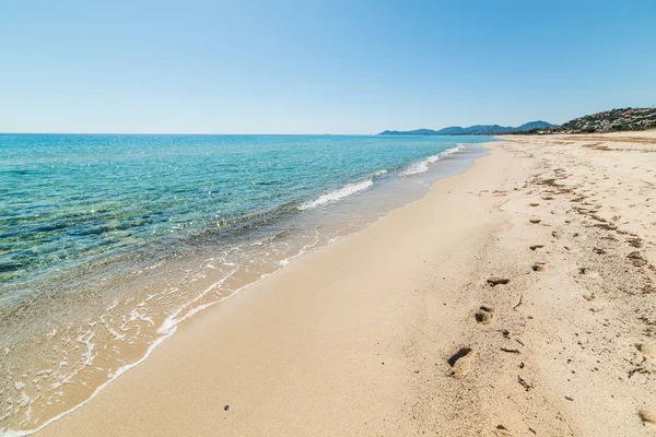 Bílým Pískem Průzračnou Vodou Piscina Rei Pláž Castiadas Sardinie Itálie — Stock fotografie